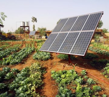 Michael Reza Pacha, énergie solaire en Afrique